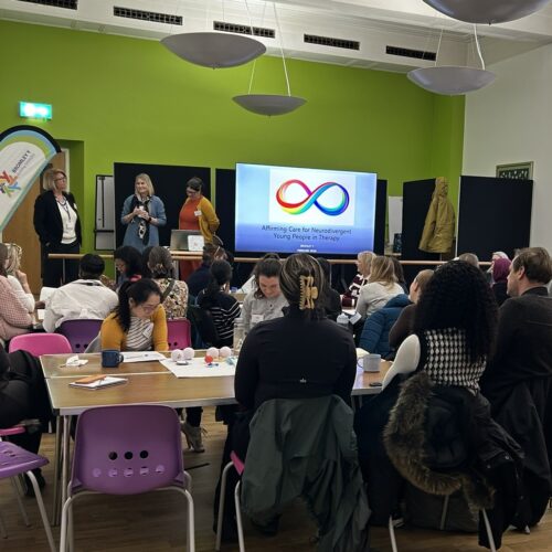 Training in SEND attendees.