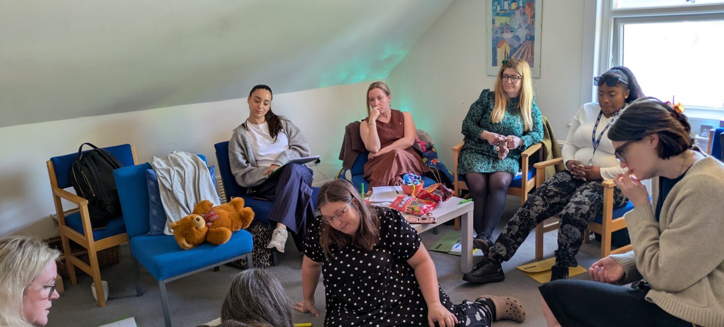 Picture of practitioners at internal training event