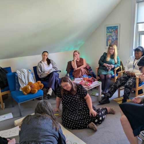 Picture of practitioners at internal training event